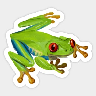 Red Eyed Tree Frog Sticker